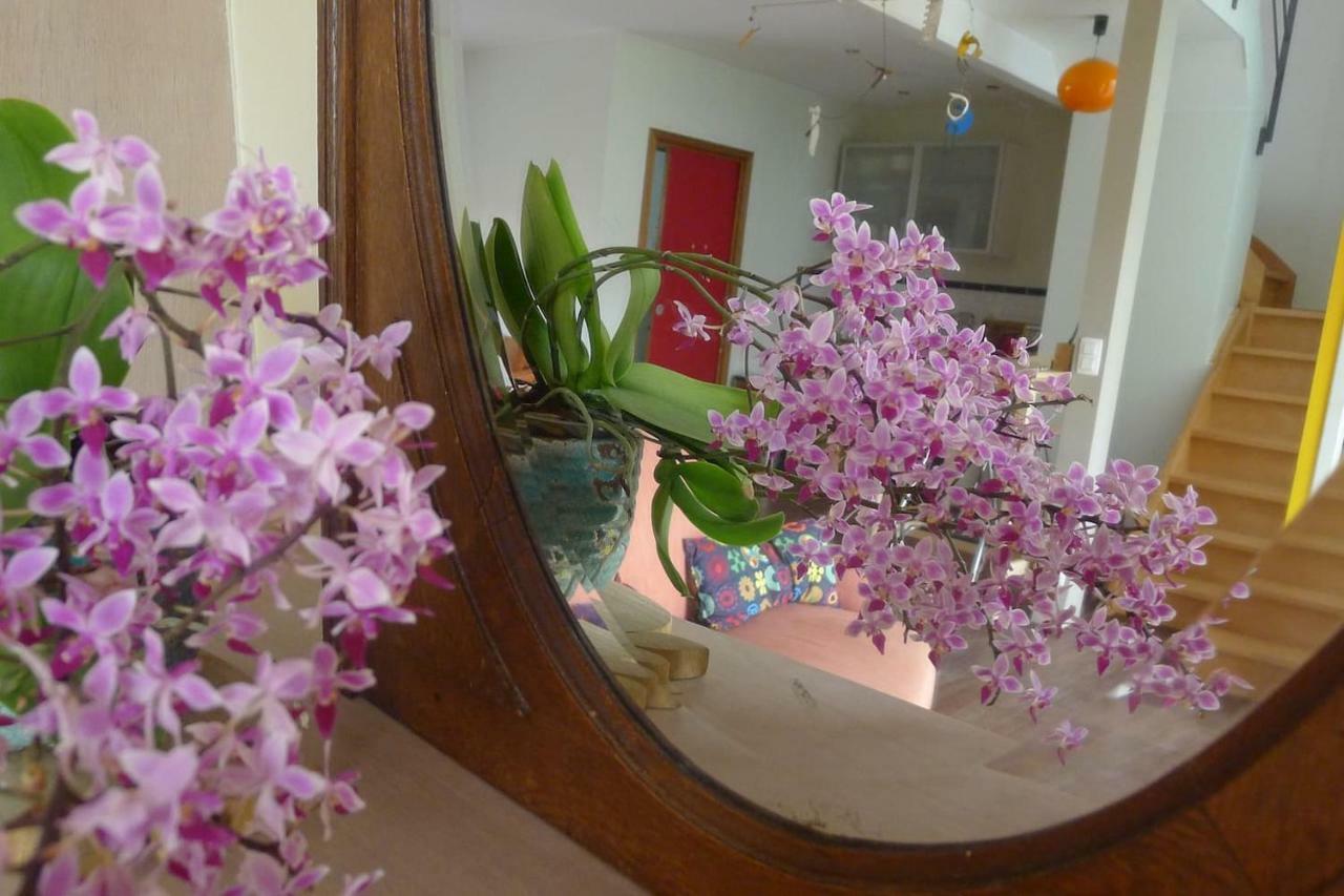 Schaerbeek B&B La Chambre De Plume المظهر الخارجي الصورة